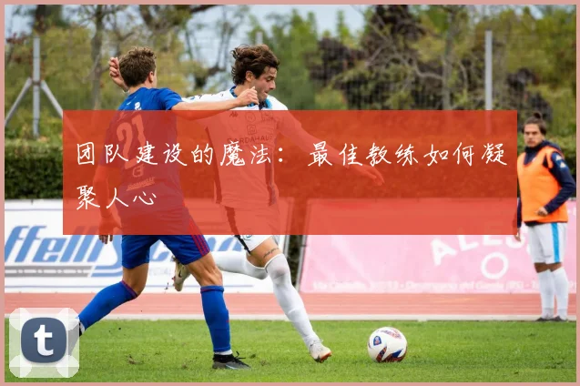 团队建设的魔法:最佳教练如何凝聚人心
