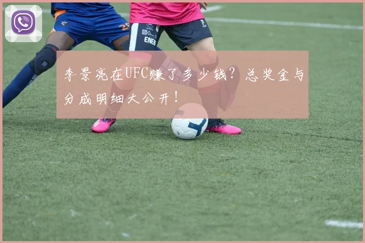 李景亮在UFC赚了多少钱?总奖金与分成明细大公开!