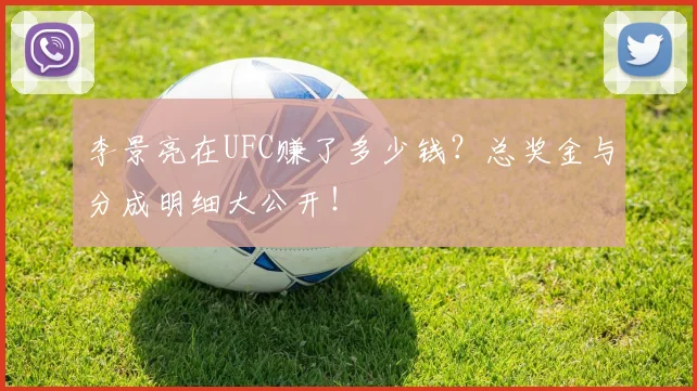 李景亮在UFC赚了多少钱？总奖金与分成明细大公开！