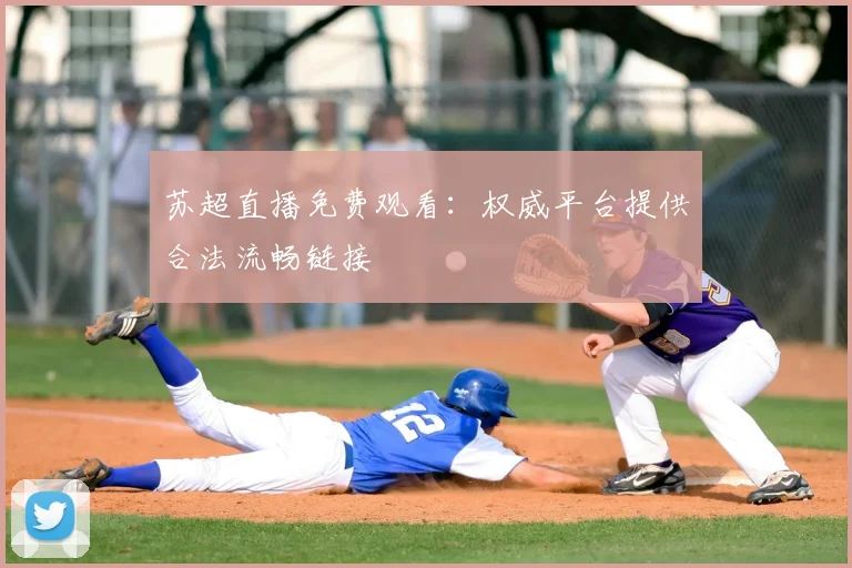 苏超直播免费观看：权威平台提供合法流畅链接